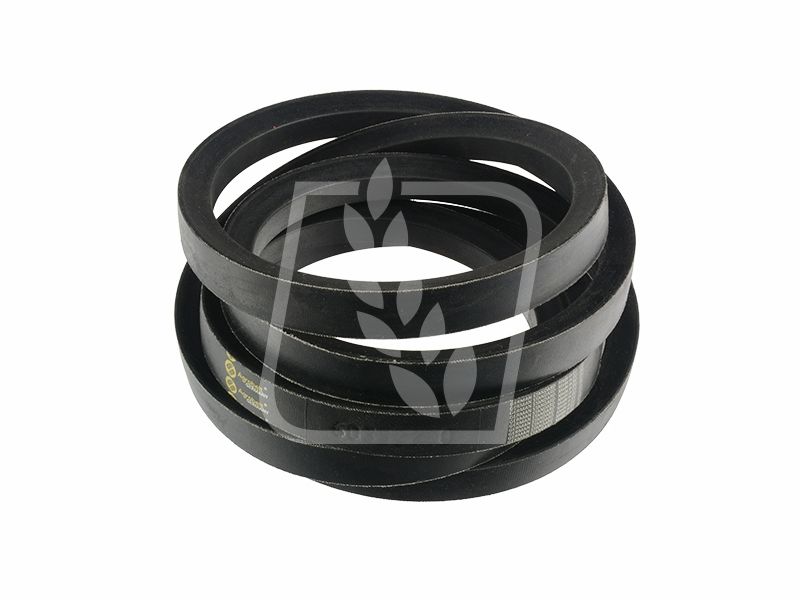 Pas 603337 Claas 22x2819 Agrobelt