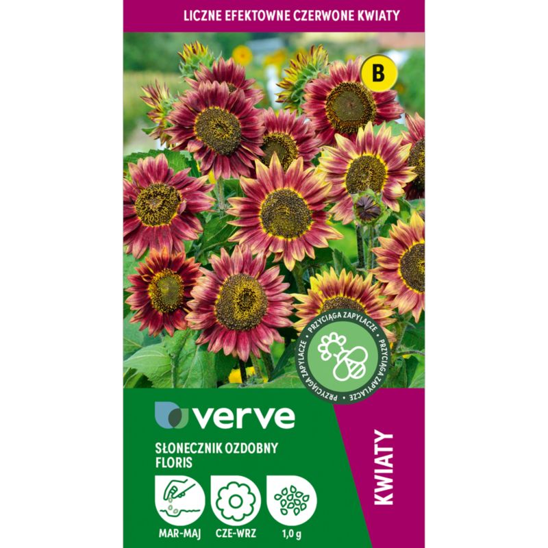Nasiona słonecznik Floris Verve