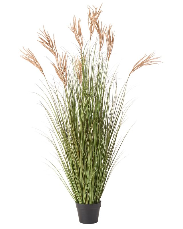 Sztuczna roślina Claw flower 150 cm Zielony 1 szt.