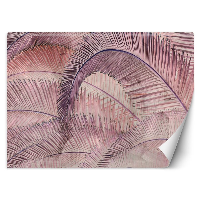 Fototapeta Feeby Różowe Liście Palmy Dżungla 100x70 1 szt