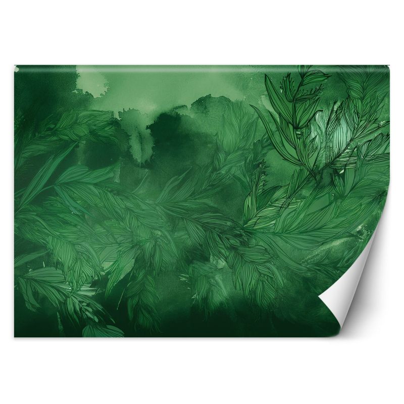 Fototapeta Feeby Rośliny Natura Botanika 100x70 1 szt