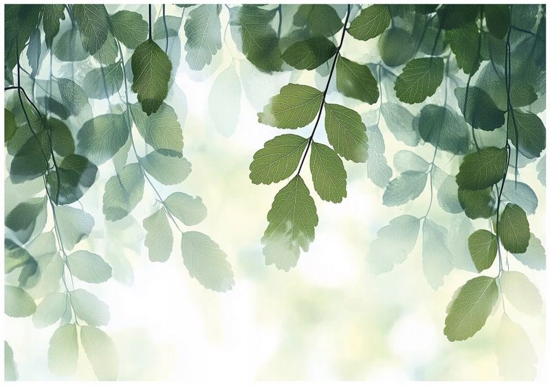 Tapeta Do Sypialni Liście Zielone WALLARENA 350x250 cm Fototapeta Dekoracja Ścienna 1 szt.