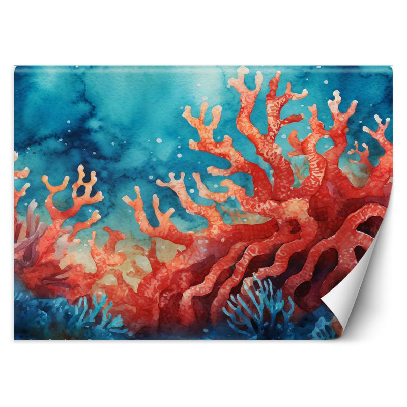 Fototapeta Feeby Kolorowa rafa koralowa 350x245 1 szt