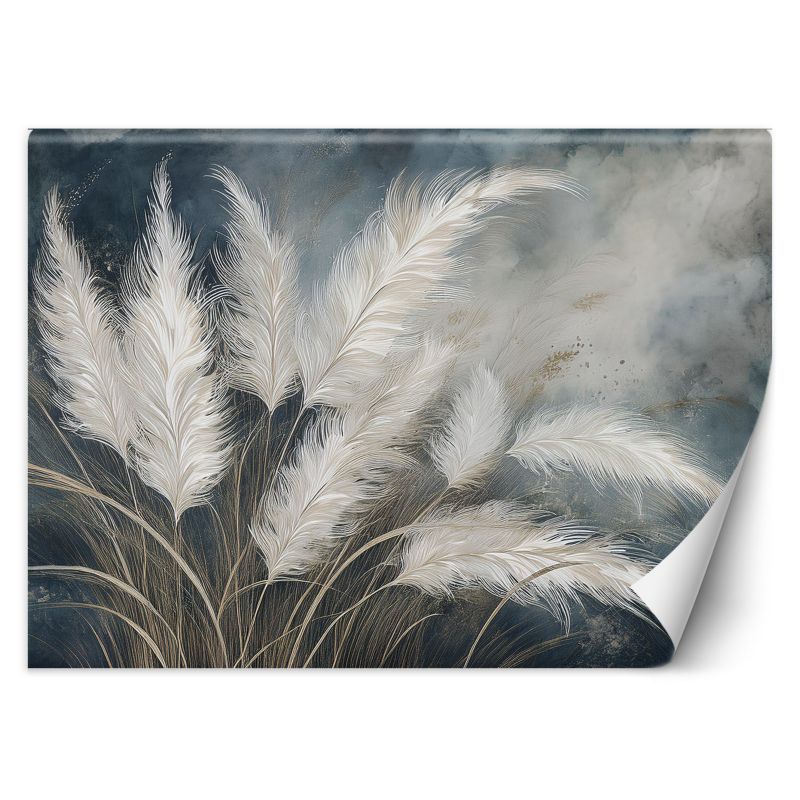 Fototapeta Feeby Trawa pampasowa Botanika 100x70 1 szt