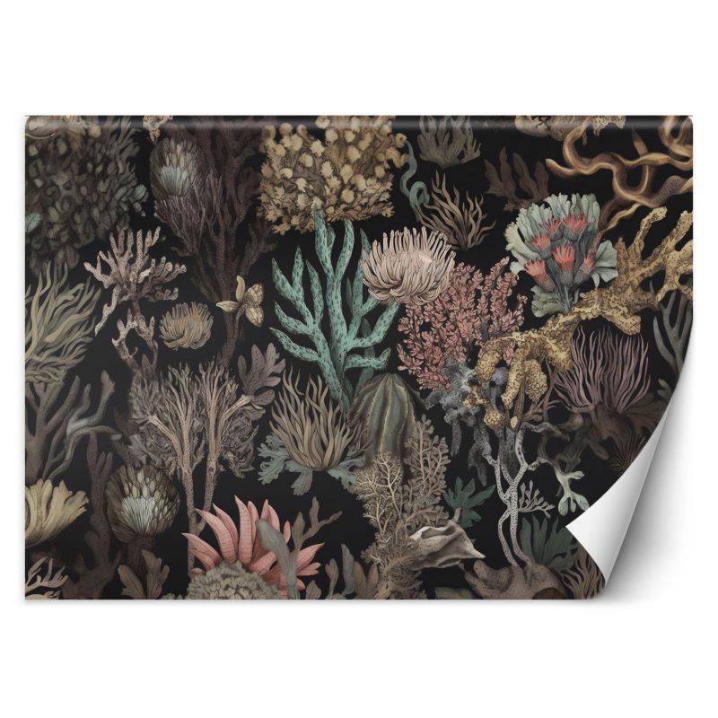 Fototapeta Feeby Feeby Fototapeta Feeby Koralowiec AI 300x210 1 szt