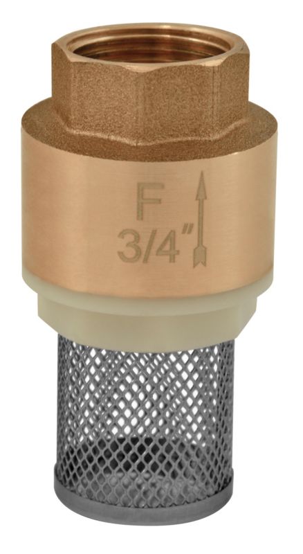 Zawór Ferro zwrotny z koszem 25.4 mm 1 szt.