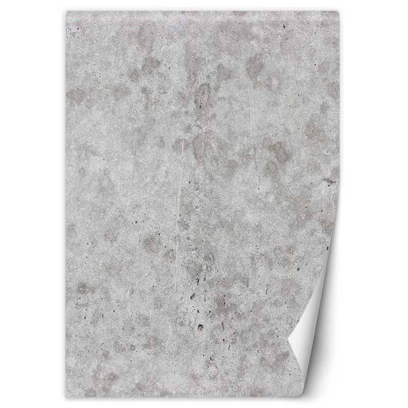 Fototapeta Feeby Szary beton imitacja 100x140 1 szt