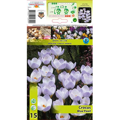 Krokus Blue Pearl - Cebule: Ilość w opakowaniu: 15 szt. - GradinaMax