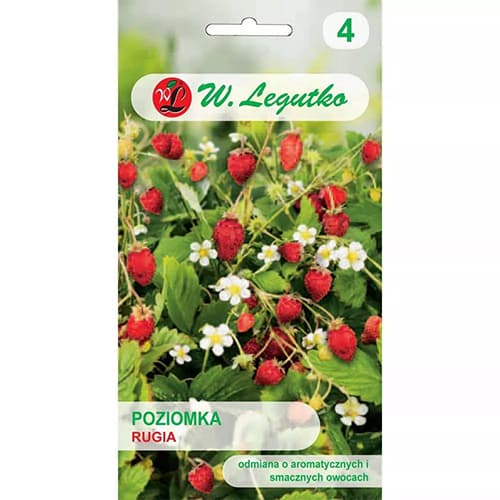 1 szt, Poziomka Rugia - Nasiona: Ilość w opakowaniu: 0.2 g