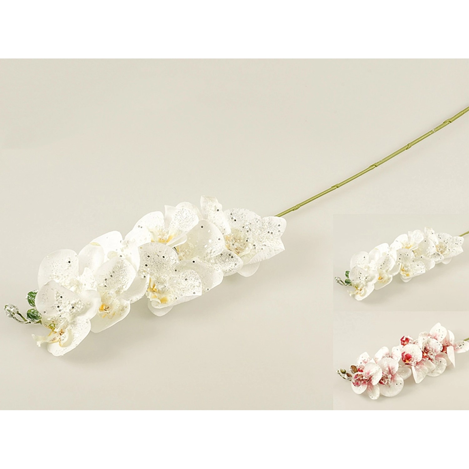 Storczyk ośnieżony pojedynczy, mix - 82 cm