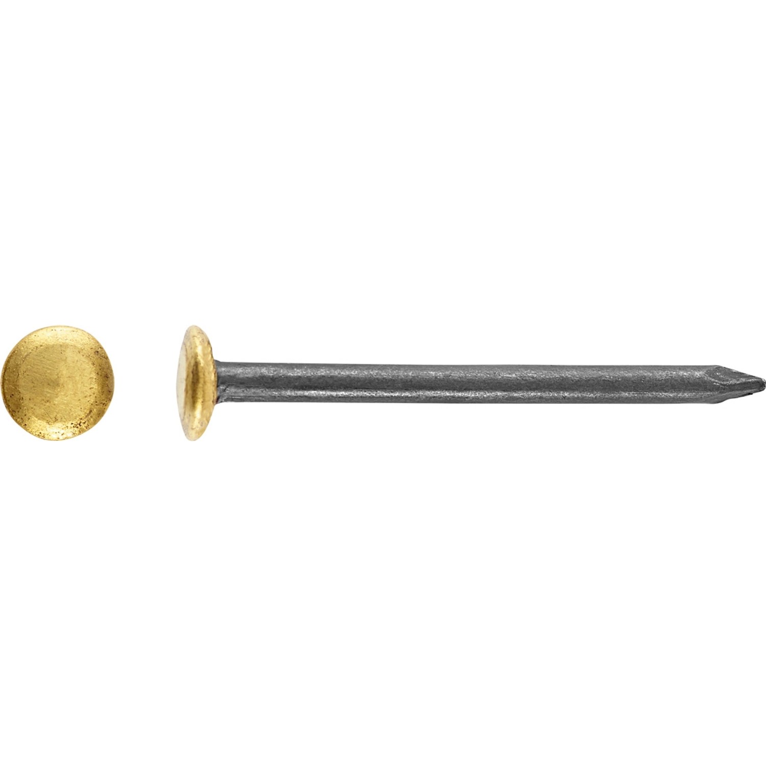 LUX Gwóźdź stalowy z podniesioną główką pokrytą mosiądzem 2 mm x 20 mm mosiądz