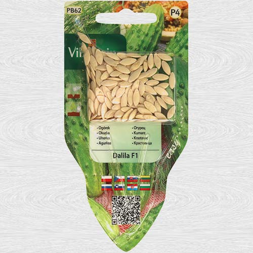 1 pac, Castraveti Dalila F1 - Semințe: Mod de ambalare: 4 g