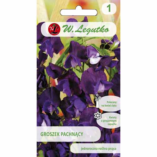 1 pac, Lathyrus odoratus (Sângele voinicului) violet - Semințe: Mod de ambalare: 3 g