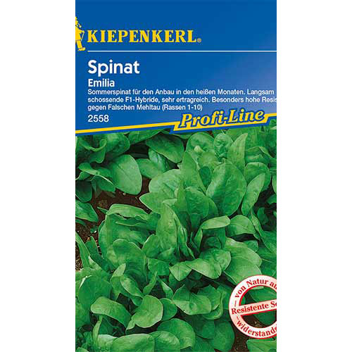 1 pac, Spanac Emilia F1 Kiepenkerl - Semințe: Mod de ambalare: 1 pac