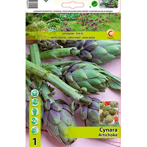 1 kus, Artyčok - : Monžstvo balíkov: 1 kus