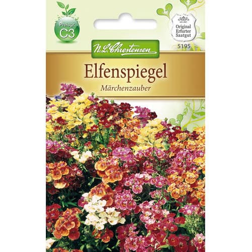 1 ob, Hledíkovka zduřelá Marchenzauber - : Monžstvo balíkov: 1 ob