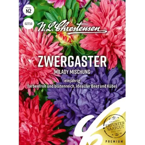 1 kus, Astra trpasličí Milady, směs - : Monžstvo balíkov: 1 kus