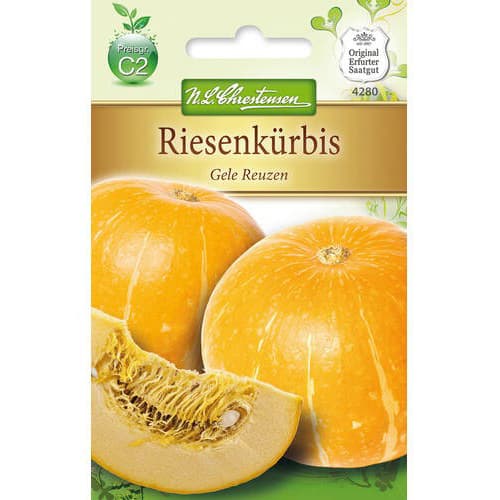 1 ob, Tykev Gele Reuzen - : Monžstvo balíkov: 1 ob