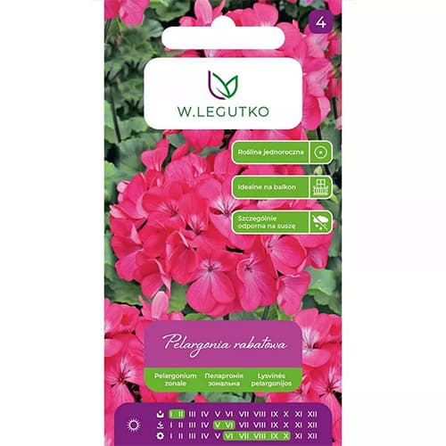 1 szt, Muskátli Gama F1, rózsaszín - Magok: Mod de ambalare: 0.05 g