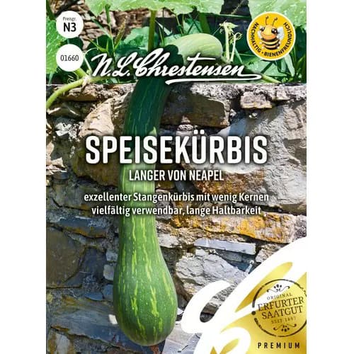 1 szt, Tök Langer von Neapel - Magok: Mod de ambalare: 1 db