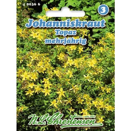 1 szt, Johanniskraut Topaz - Samen: Ilość w opakowaniu: 1 Stück