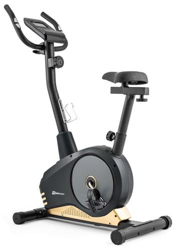 Heimtrainer HS-2080 Spark Schwarz/Gold