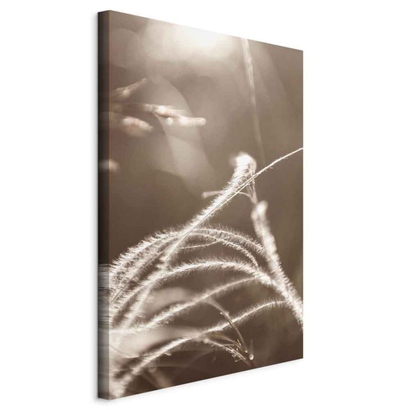 Obraz Artgeist Puszysta trawa 80 x 120 cm płótno włoskie 1 szt