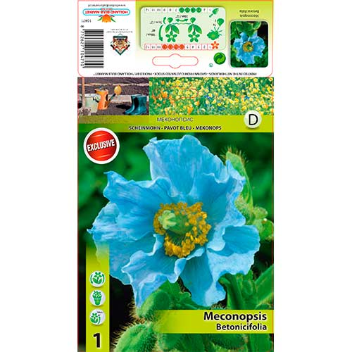 1 db, Himalája kék mák - Évelő: Mod de ambalare: 1 db