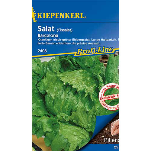 1 szt, Eissalat Barcelona - Samen: Ilość w opakowaniu: 1 Stück