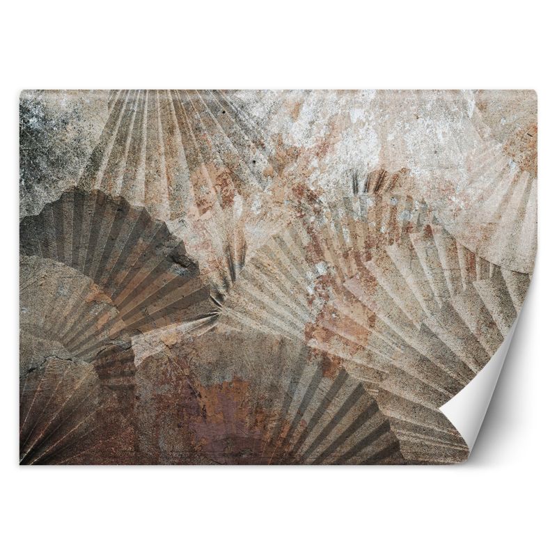 Fototapeta Feeby Wachlarze Beż Brąz 350x245 1 szt