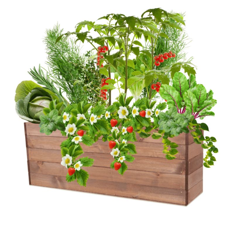 Grządka podwyższona MODO24 skrzynia brązowa impregnacja 45x120x30 cm 1 szt.