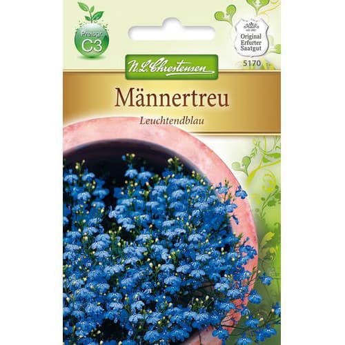 Lobelia Leuchtendblau - Nasiona. Ilość w opakowaniu: 1 opak - GradinaMax