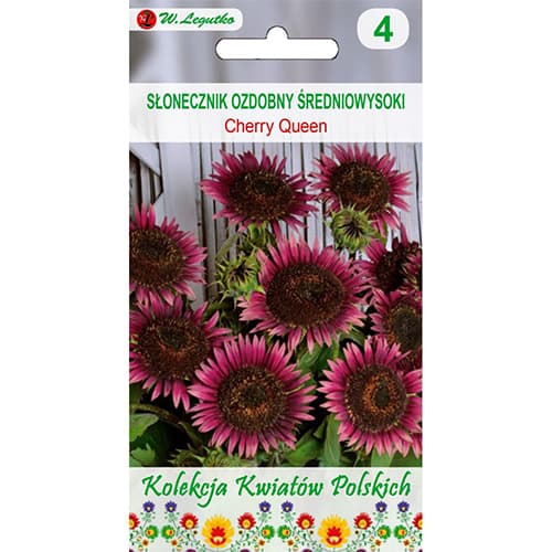 1 szt, Słonecznik ozdobny Cherry Queen - Nasiona: Ilość w opakowaniu: 1 g
