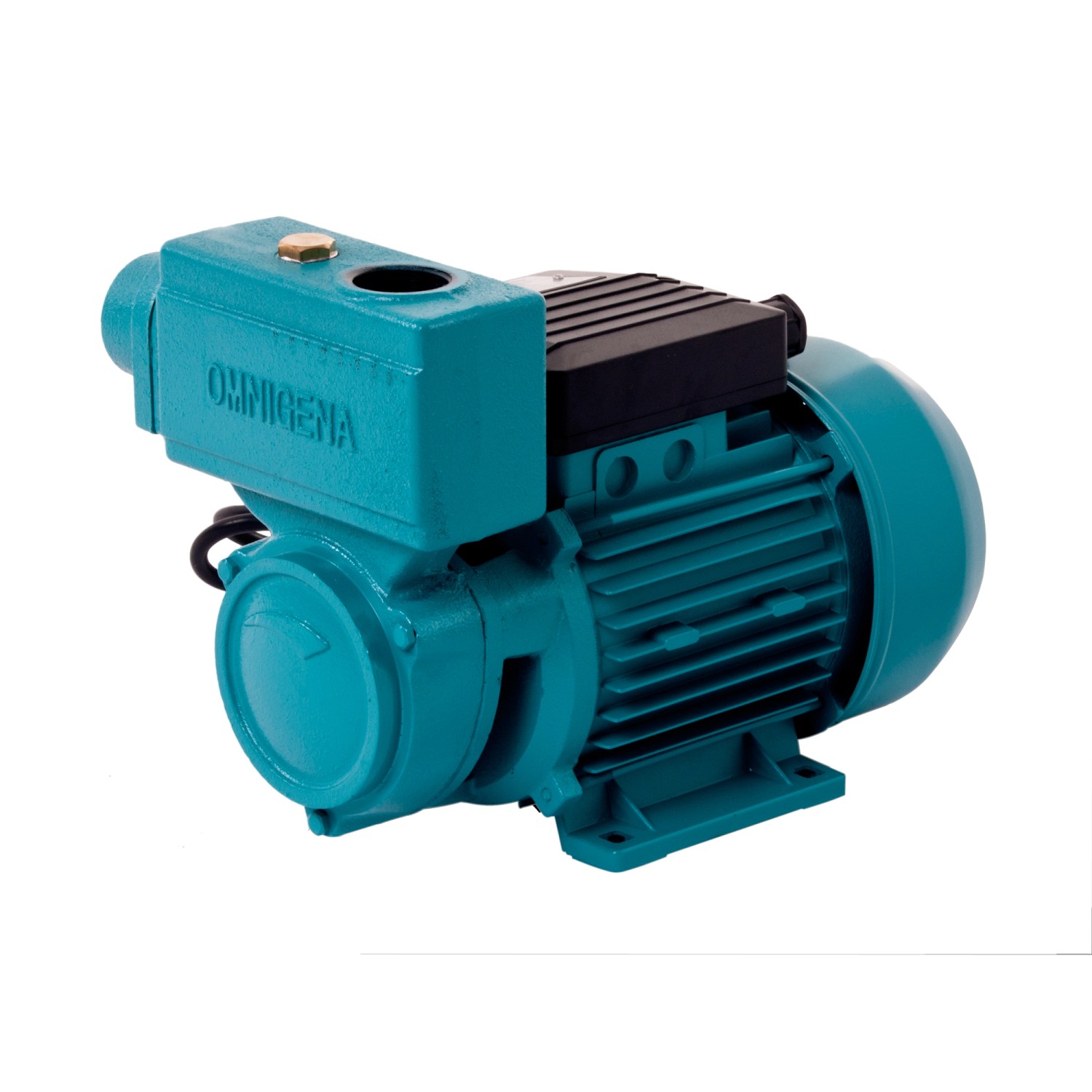 Pompa ogrodowa WZ 750