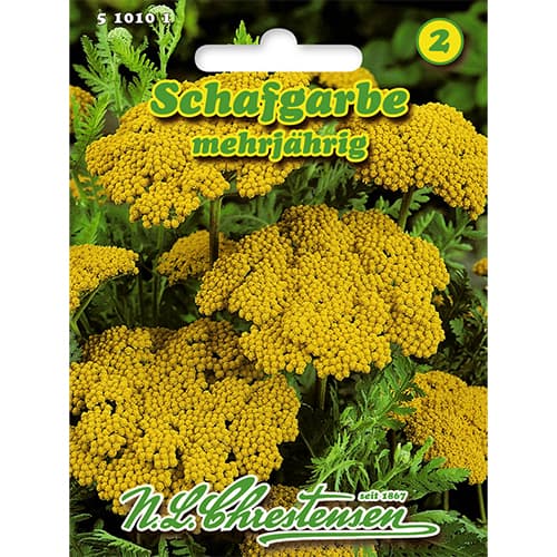1 ob, Řebříček tužebníkovitý (Achillea) - : Monžstvo balíkov: 1 ob