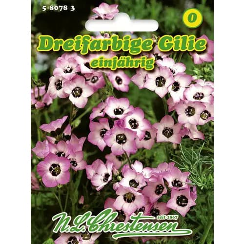 1 szt, Gilie Dreifarbige - Samen: Ilość w opakowaniu: 1 Stück
