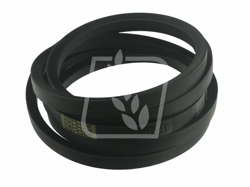 Pas 1989217C1 22 x 3632