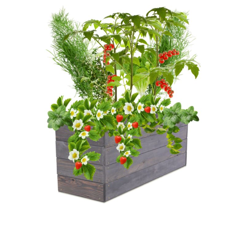 Skrzynia na warzywa MODO24 grządka szara impregnacja 36x93x30 cm 1 szt.