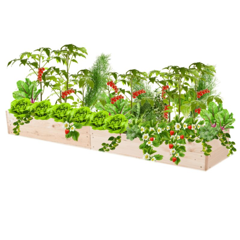 Warzywnik drewniany MODO24 grządka naturalne drewno 18x203x30 cm 1 szt.