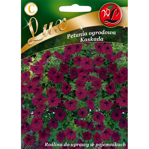 1 szt, Petunia Kaskada purpurowa - Nasiona: Ilość w opakowaniu: 0.02 g