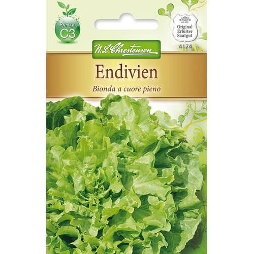 1 ob, Čekanka listová Bionda a cuore pieno - : Monžstvo balíkov: 1 ob