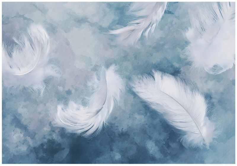 Fototapeta WALLARENA Do Sypialni Salonu Na Flizelinie Pióra Abstrakcja Beton 250x175 cm Tapeta Ścienna 1 szt.