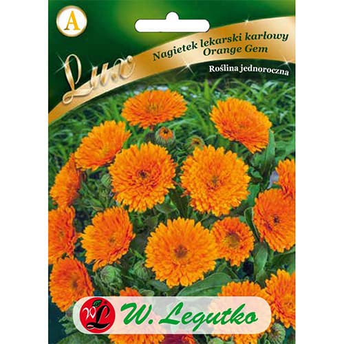 1 szt, Nagietek lekarski Orange Gem - Nasiona: Ilość w opakowaniu: 2 g