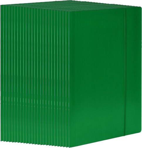 25x Teczka kartonowa z gumką Barbara, A4, 3mm, zielony