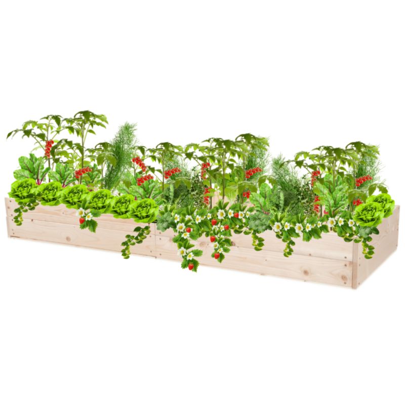 Warzywnik MODO24 inspekt impregnowana przeźroczysta 18x163x90 cm 1 szt.