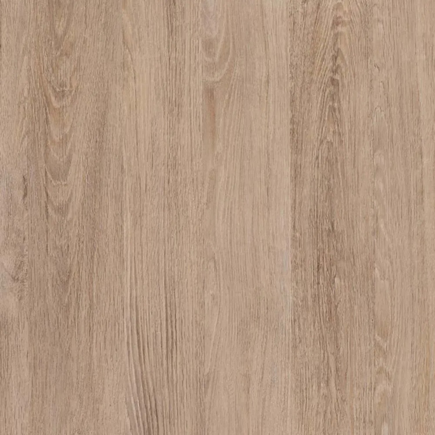 Okleina DĄB SANTANA 90 cm x 200 cm