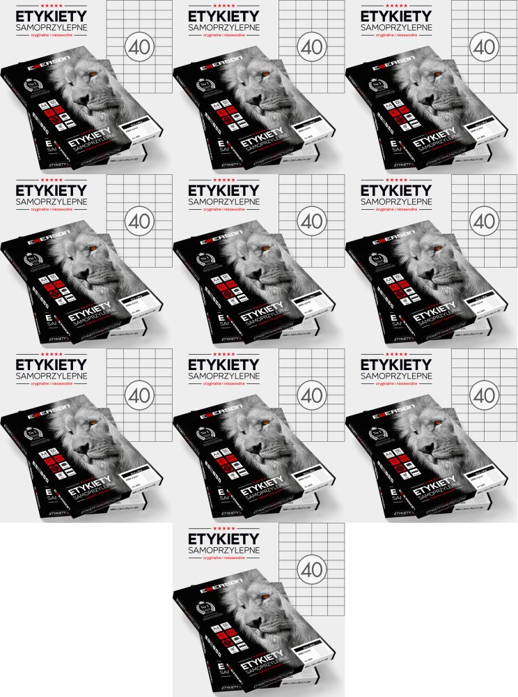 10x Etykiety samoprzylepne Emerson, 52.5x29.6mm, 100 arkuszy, biały