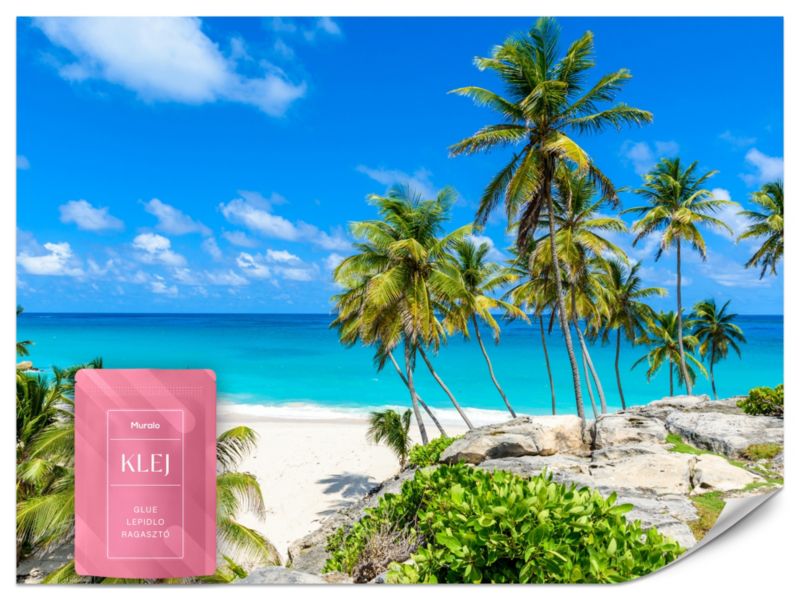 Fototapeta Muralo Rajska Plaża Krajobraz Tropikalny 150x105 cm 1szt.