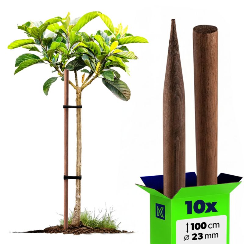 Podpora do roślin KADAX drewniana, brązowa, 23 mm x 100 cm 10 szt.