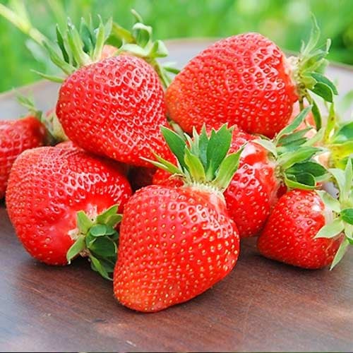 2 saz, Jahoda Clery - : Monžstvo balíkov: 2 saz